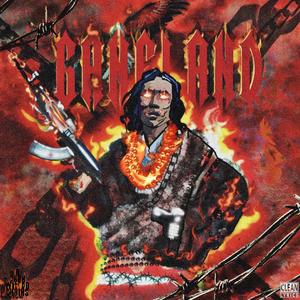 日本免费一二三区
